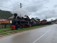 01.05.2019 Waldbahn Moldovita